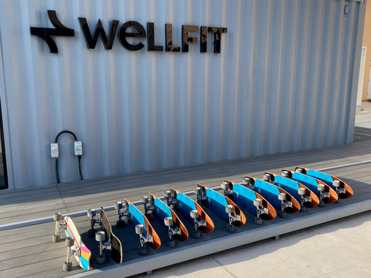 Wellfit surf skate + fitness
